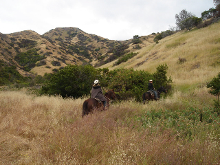 Horseback-riding