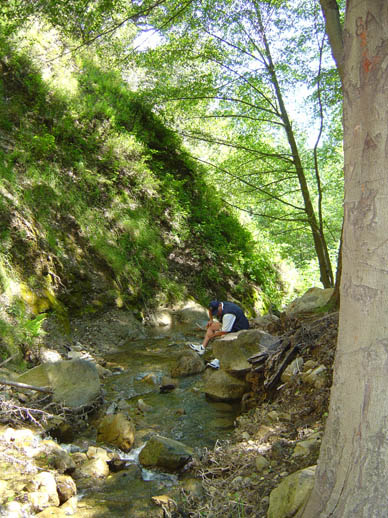 WaterfallTrailAlHoptonJPG