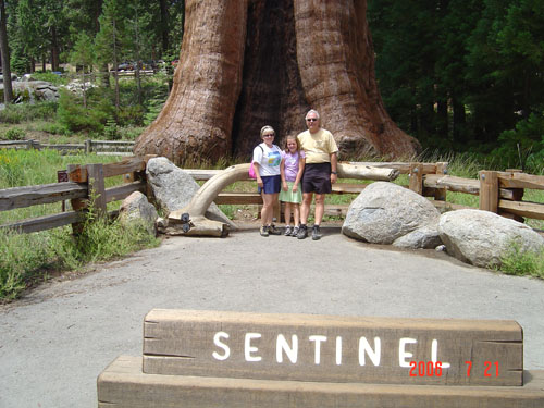 Sequoia-1