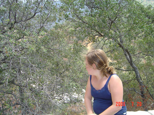 Sequoia-first-day-Danielle